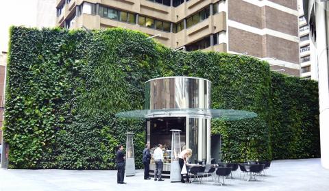 Green wall by Fytogren at 1 Bligh Street Sydney. www.fytogreen.com.au
