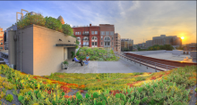 The green roof on the American Society of Landscape Architects headquarters 