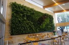 Bold Park Pool vertical garden by Atlantis Aurora