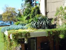 Visit www.fytogreen.com.au for images of roof gardens and green roofs by Fytogreen