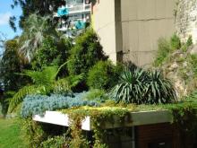 Visit www.fytogreen.com.au for images of roof gardens and green roofs by Fytogreen