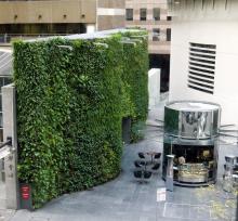 Fytogreen's vertical garden at 1 Bligh Street Sydney www.fytogreen.com.au